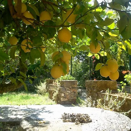 Casa de hóspedes Gentilini Retreat 3*