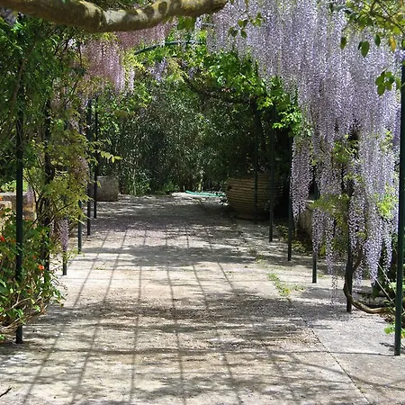 Gentilini Retreat *