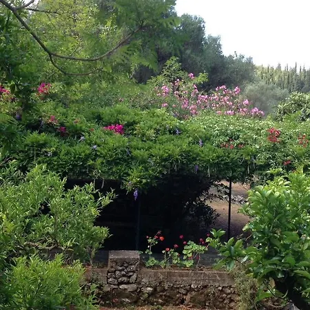 Gentilini Retreat